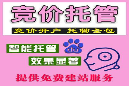 SEM推广代运营的实战经验分享与效果展示